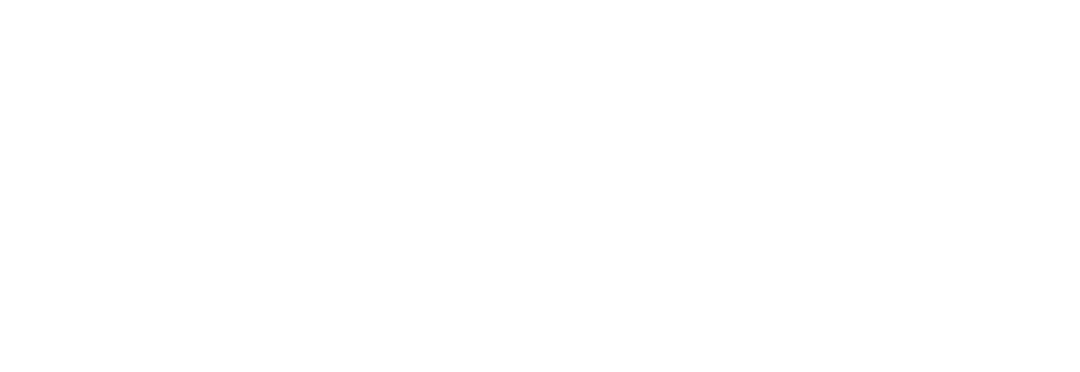 SlowMist